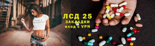 крисы Корсаков